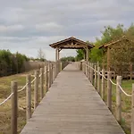 Aromas Flavors Tours Beach Esmoriz