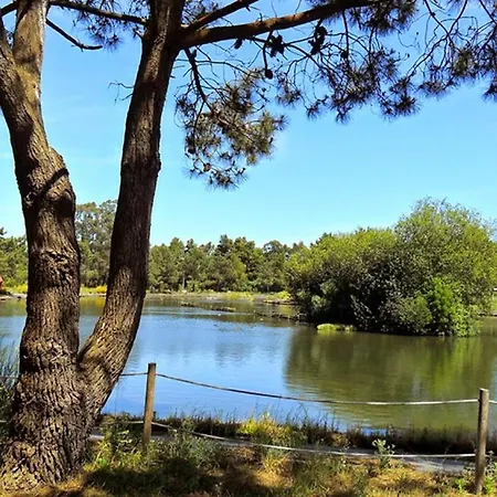 Aromas Flavors Tours Beach Apartamento *