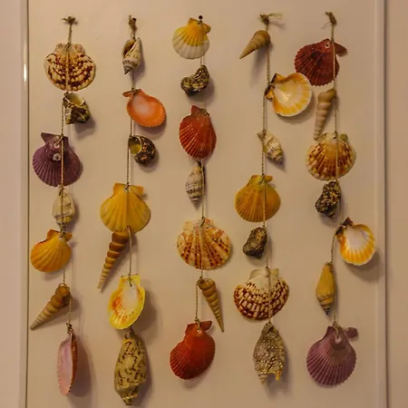 Aromas Flavors Tours Beach *