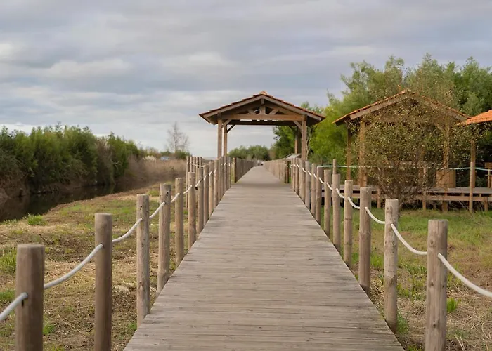 Aromas Flavors Tours Beach إسموريز