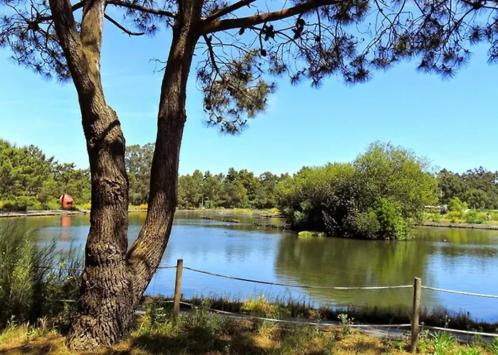 Aromas Flavors Tours Beach شقة *